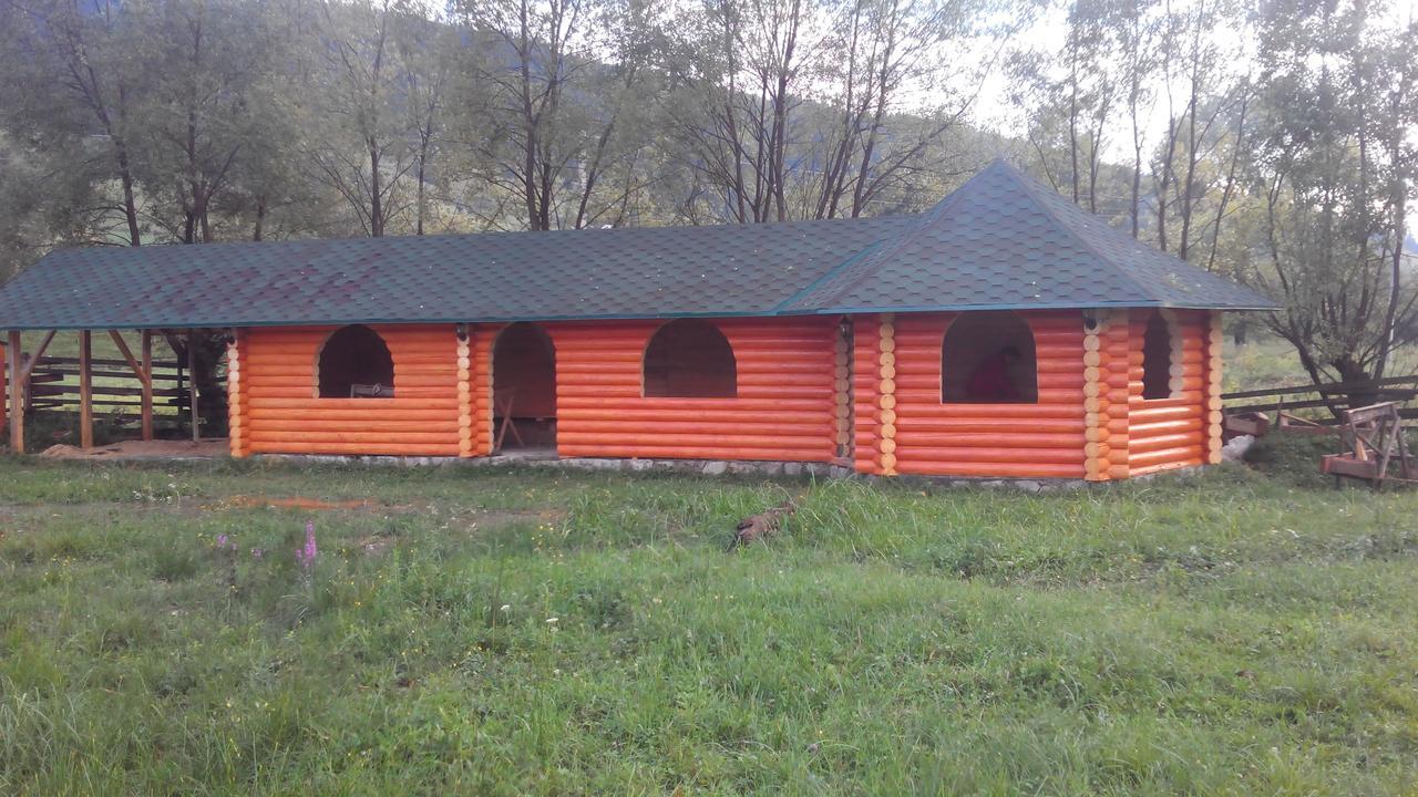 Плай Villa Verhovîna Exterior foto